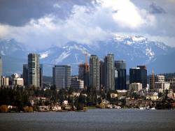 956488509662449_bellevue.jpg