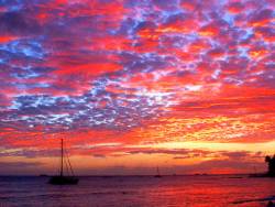 Waikiki Beach Sunset.jpg