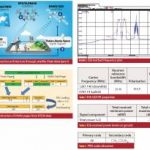 WPFig1_5